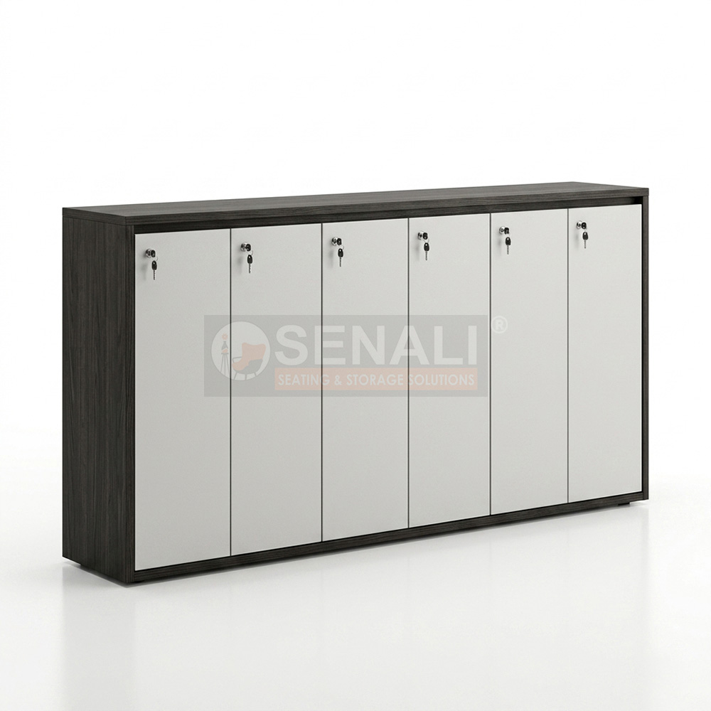 Modern office credenza cabinet with hinged doors